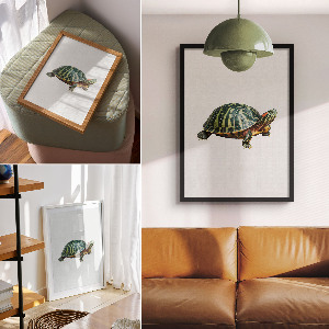 Art print Terrapin