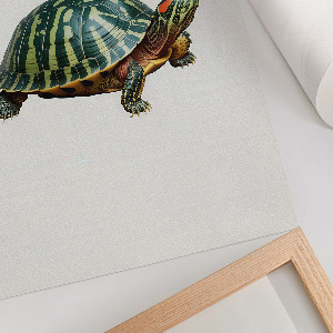 Art print Terrapin
