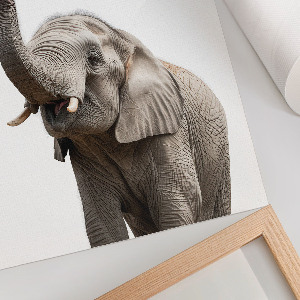 Wall print featuring a bubblegum elephant