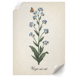 Poster featuring a forget-me-not flower