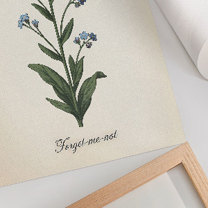 Poster Forget-me-not flower