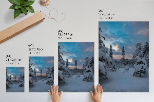 Wall art Winter landscape