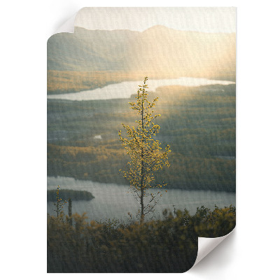 Wall print Landscape of nature