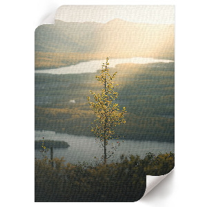 Wall print depicting a natural landscape