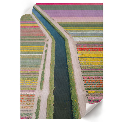 Wall art Flower fields