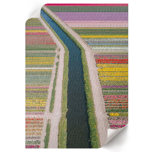 Wall art depicting flower fields