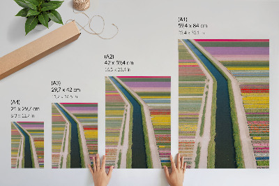 Wall art Flower fields