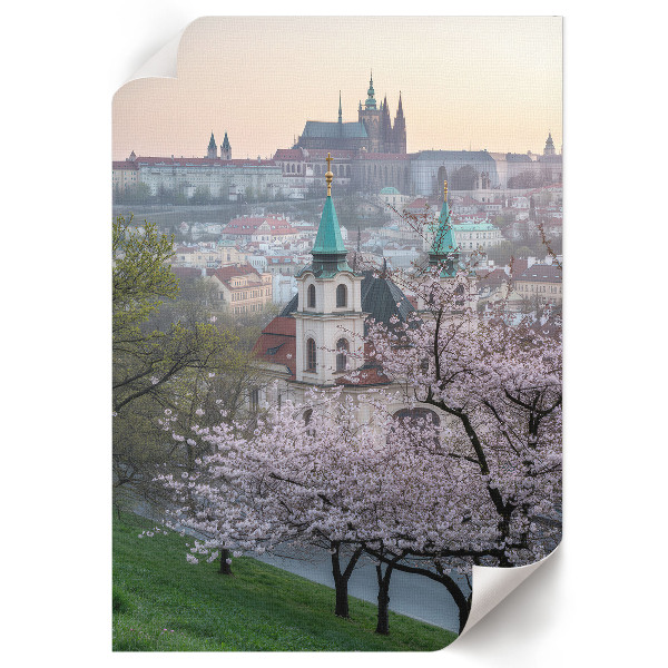 Art print Spring city