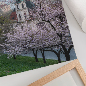 Art print Spring city