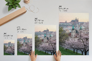 Art print Spring city