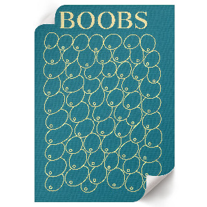 Wall art featuring sculptural breast shapes