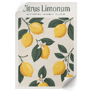 Poster Citrus Limonum