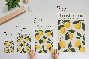 Poster Citrus Limonum