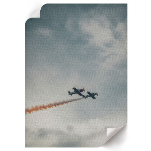 Aerial acrobatics wall print
