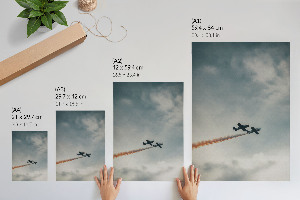 Wall print Aerial acrobatics