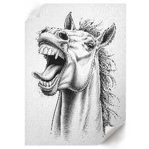 Poster Horse laughter