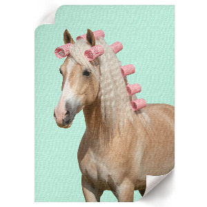 Horse wall print with roller frame