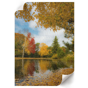 Autumn lake art print