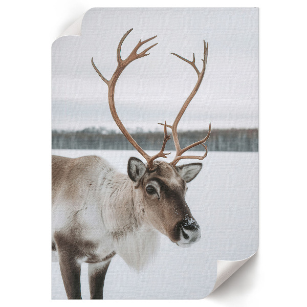 Poster Winter reindeer