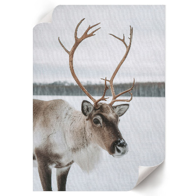 Poster Winter reindeer