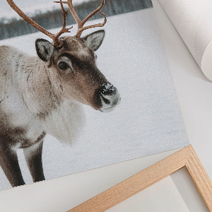 Poster Winter reindeer