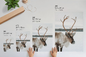 Poster Winter reindeer
