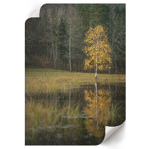 Autumn landscape wall print