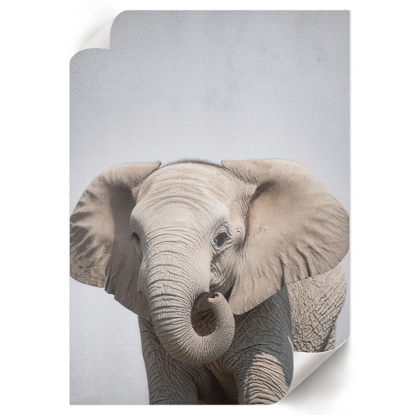 Art print Elephant and peace
