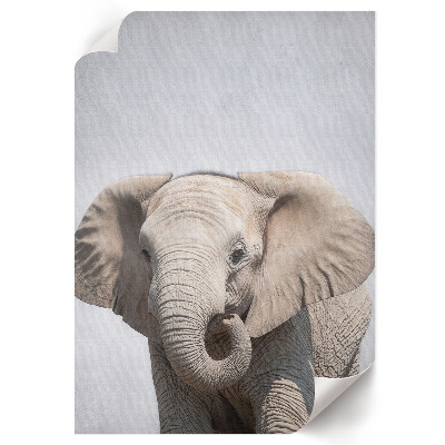 Art print Elephant and peace
