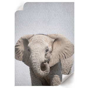 Art print Elephant and peace