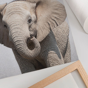 Art print Elephant and peace