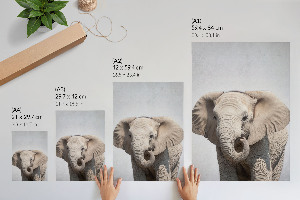 Art print Elephant and peace