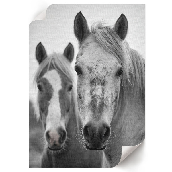 Wall print Horses together
