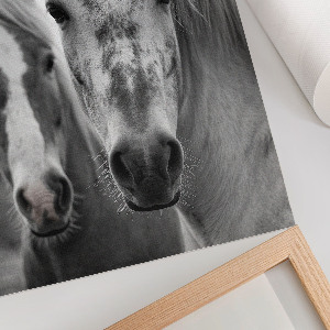 Wall print Horses together