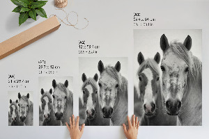 Wall print Horses together