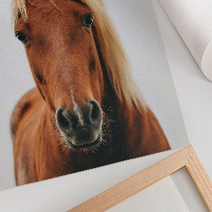 Wall art Horse portrait