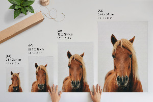 Wall art Horse portrait