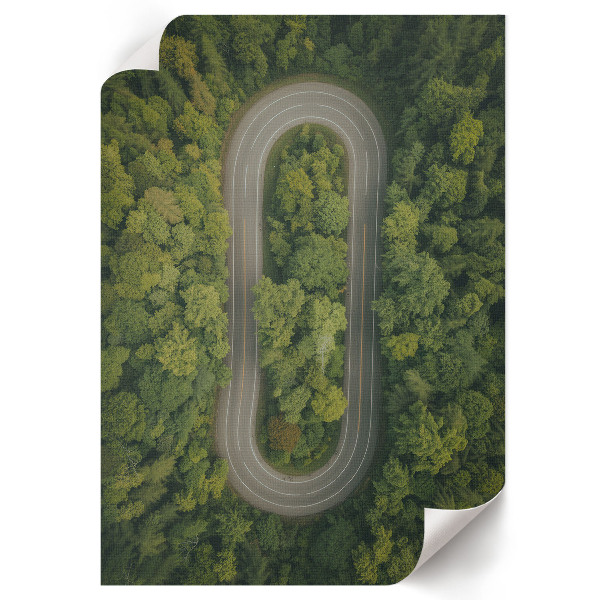 Wall print Forest adventure