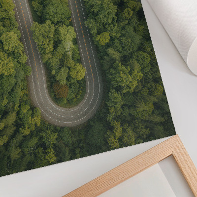 Wall print Forest adventure