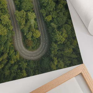 Wall print Forest adventure