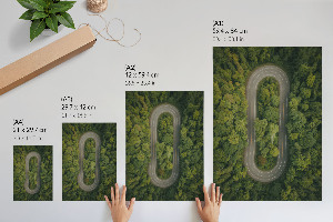 Wall print Forest adventure