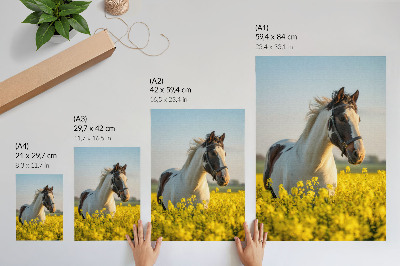Poster A horse in a field