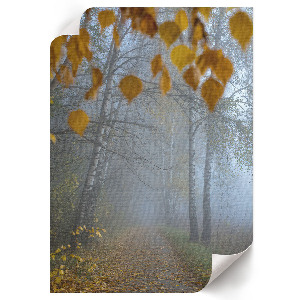 Autumn forest wall art print