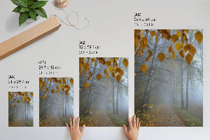 Autumn forest wall art print
