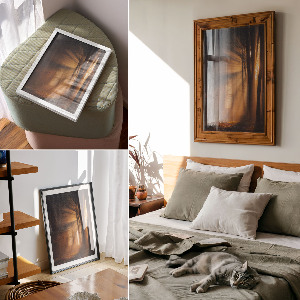 Wall print Forest dawn