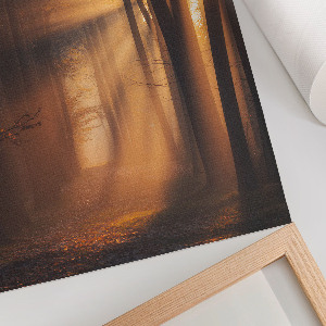 Wall print Forest dawn