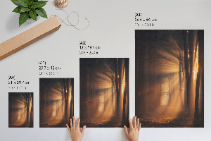 Wall print Forest dawn