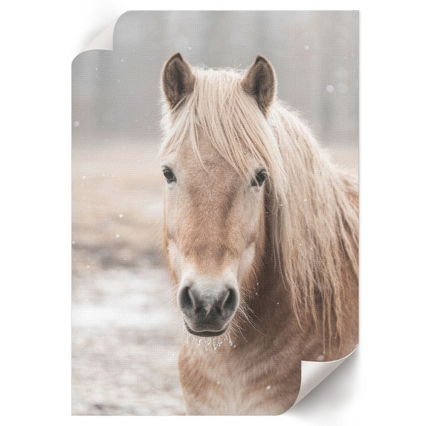 Wall print Winter horse