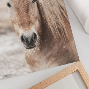 Wall print Winter horse