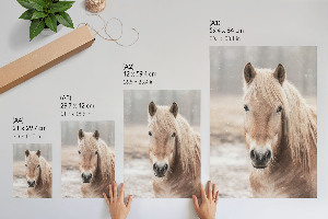 Wall print Winter horse